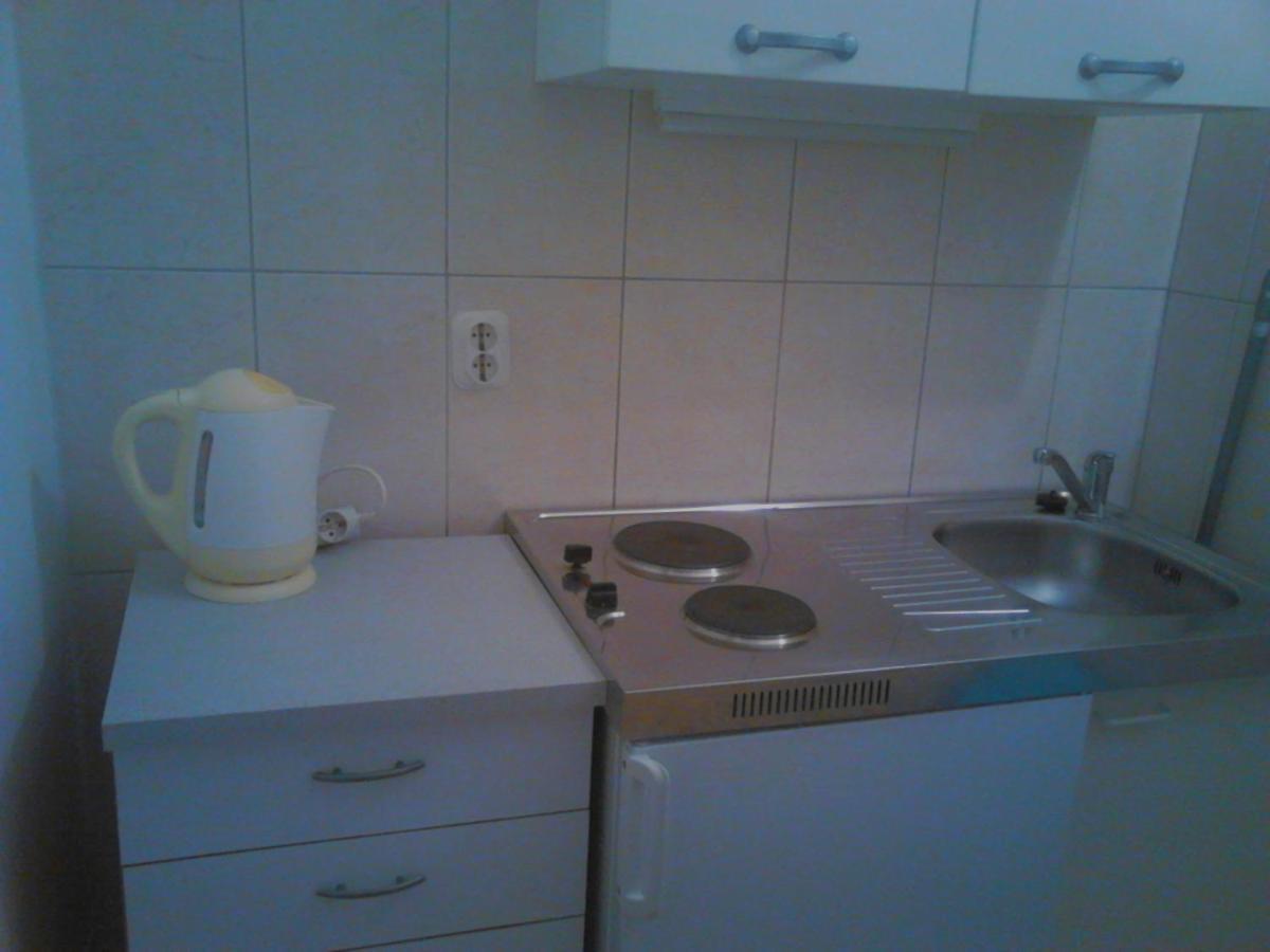 Apartment Roko