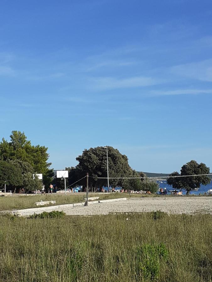 Roko Novalja